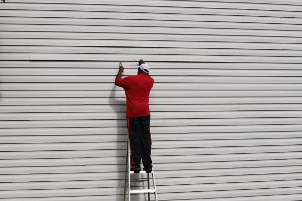 Best Vinyl Siding Installation  in Holts Summit, MO